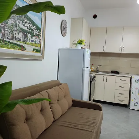 Shyti 2 Apartment Berat