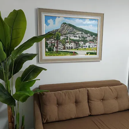 Shyti 2 Apartment *